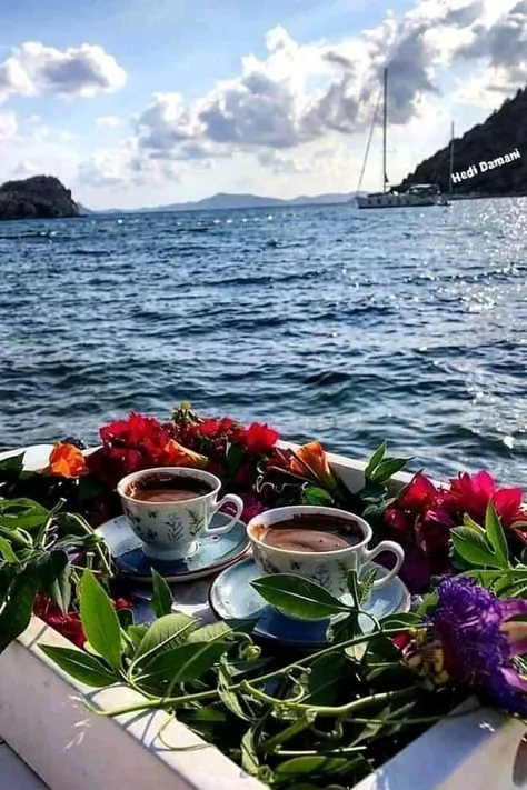 Чайная беседка