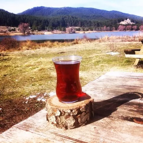 Чайная беседка