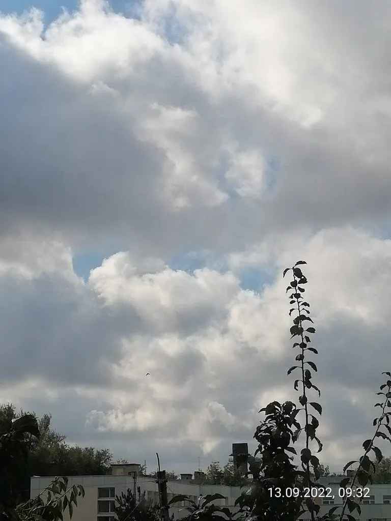 Такое разное небо