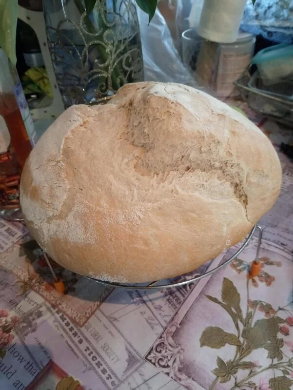 Хлеб Комо (Pane di Como) в духовке (не путайте с Pane di Come Antico)