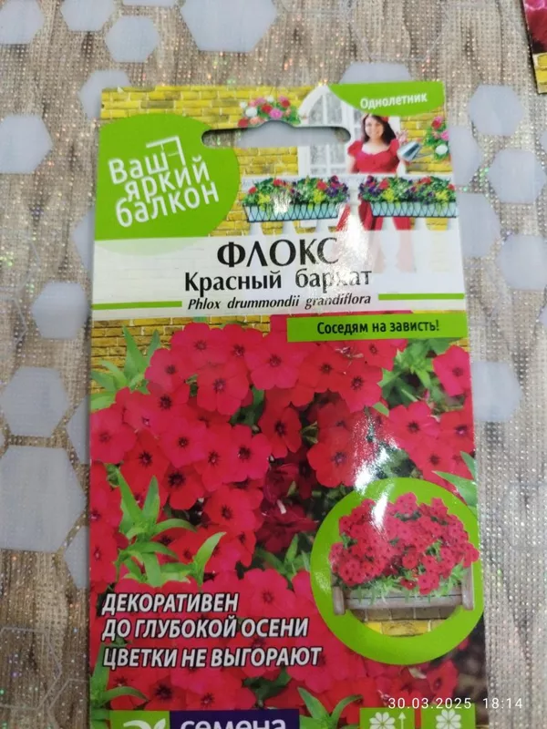 Сажаем, растим, собираем урожай…
