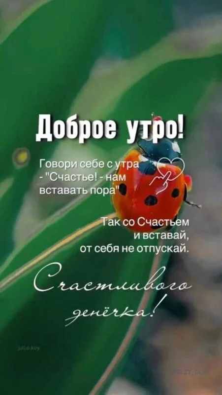 Кафе "У пани Сони"