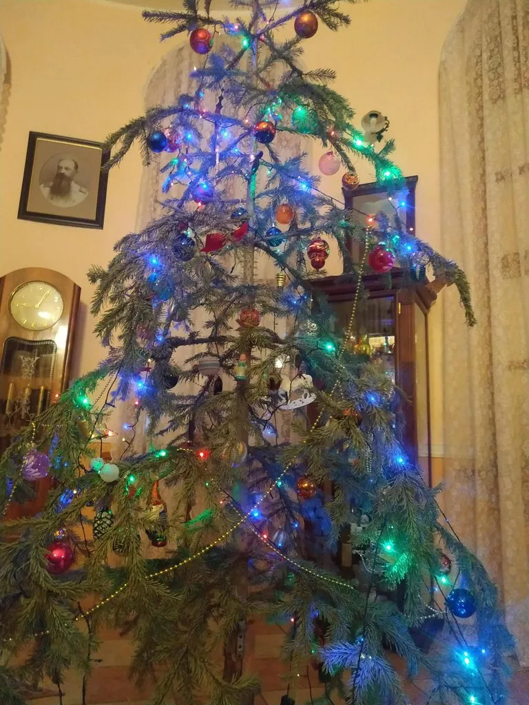 Похвастаемся елками!