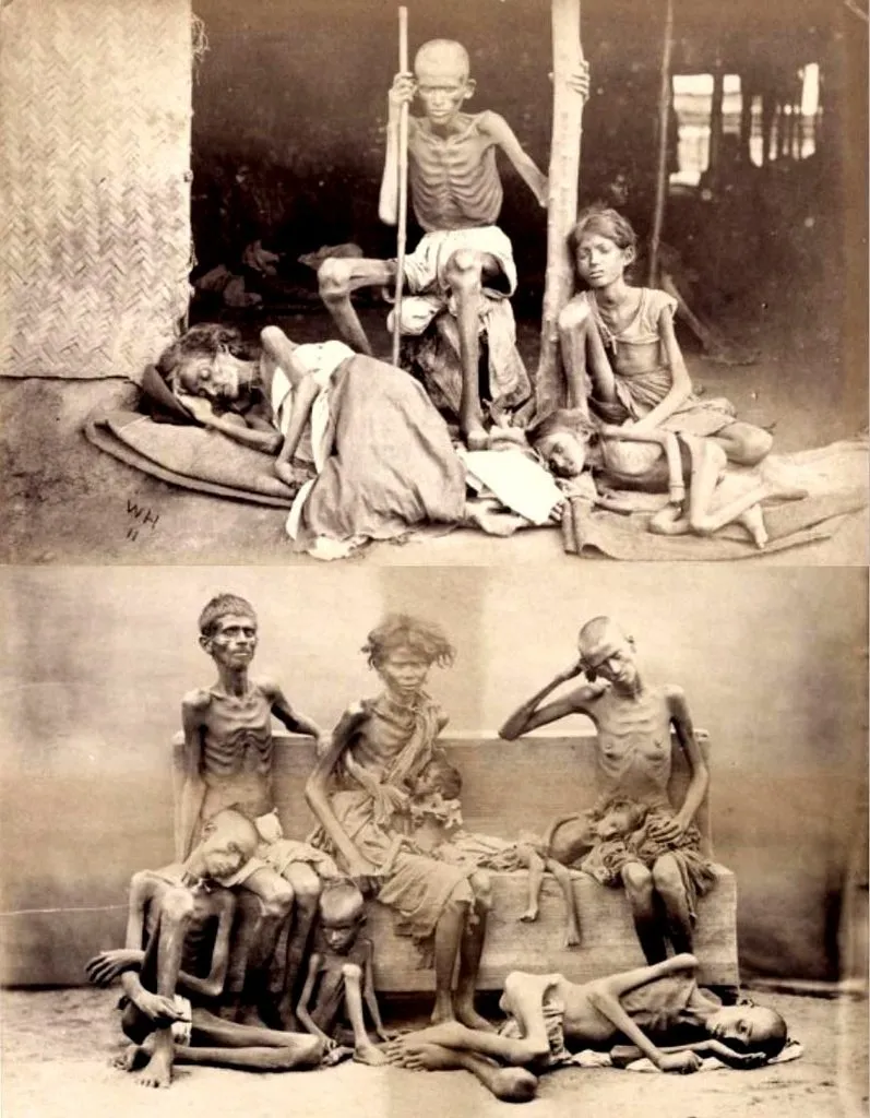 Запечатленная история