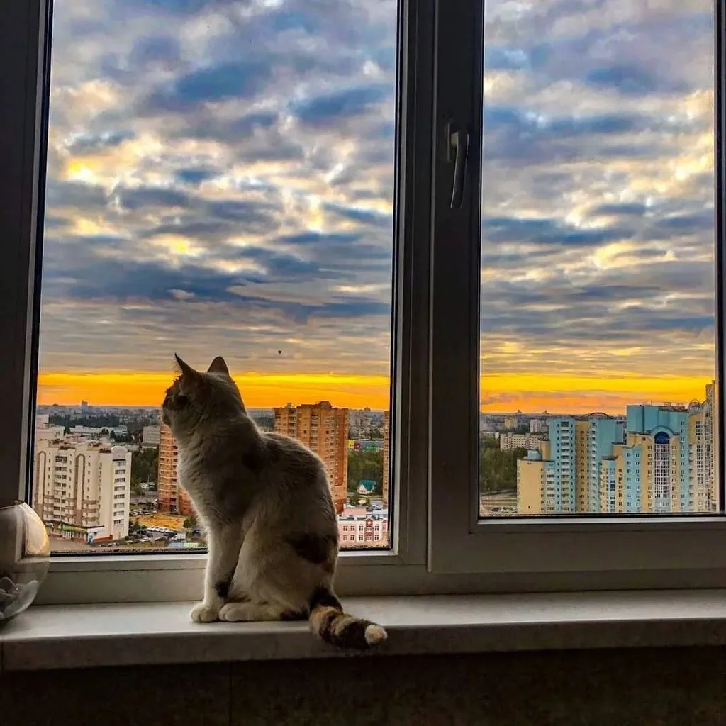 Рассказы для души