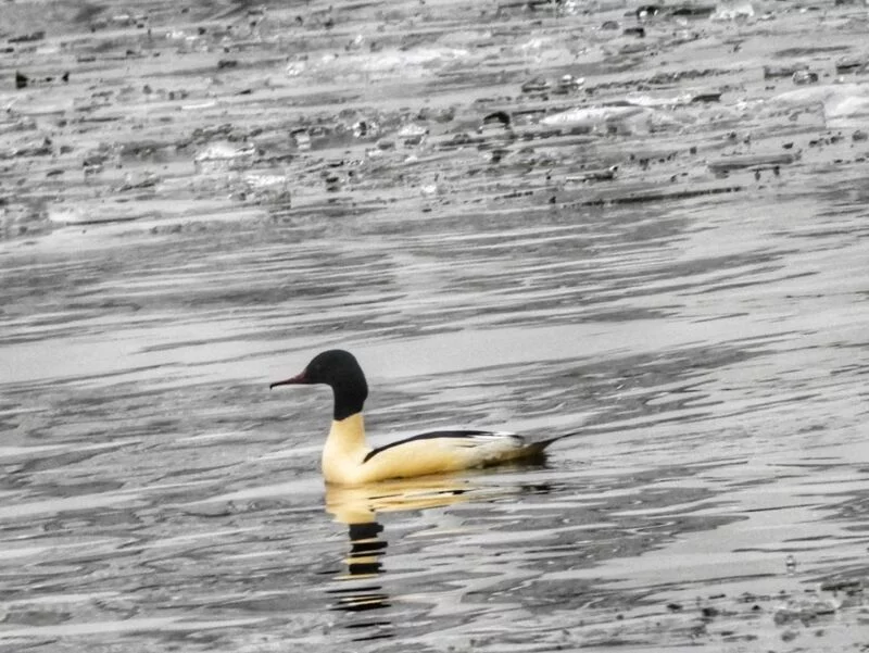 Коломенское