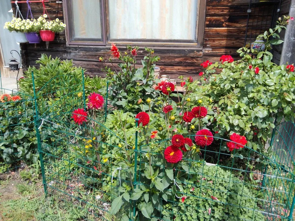 Чайная беседка