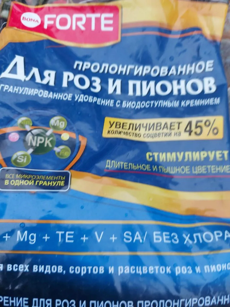 Цветы на моем участке (2021 г.)