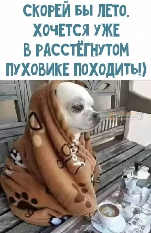 Посмеялся сам - поделись с другом!!!