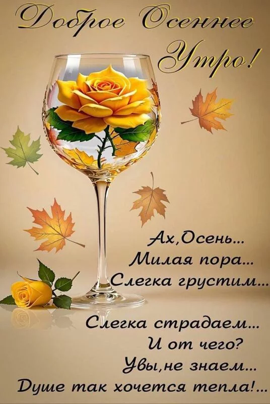 Кафе "У пани Сони"