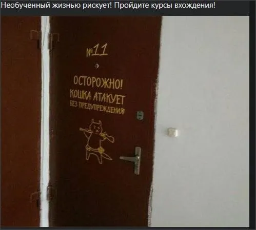 Всюду рифмы