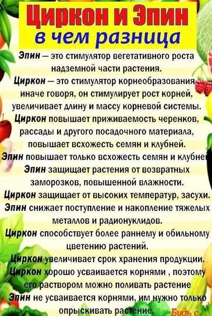 Садово-огородная  инфографика