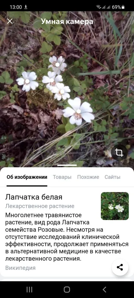 Чайная беседка