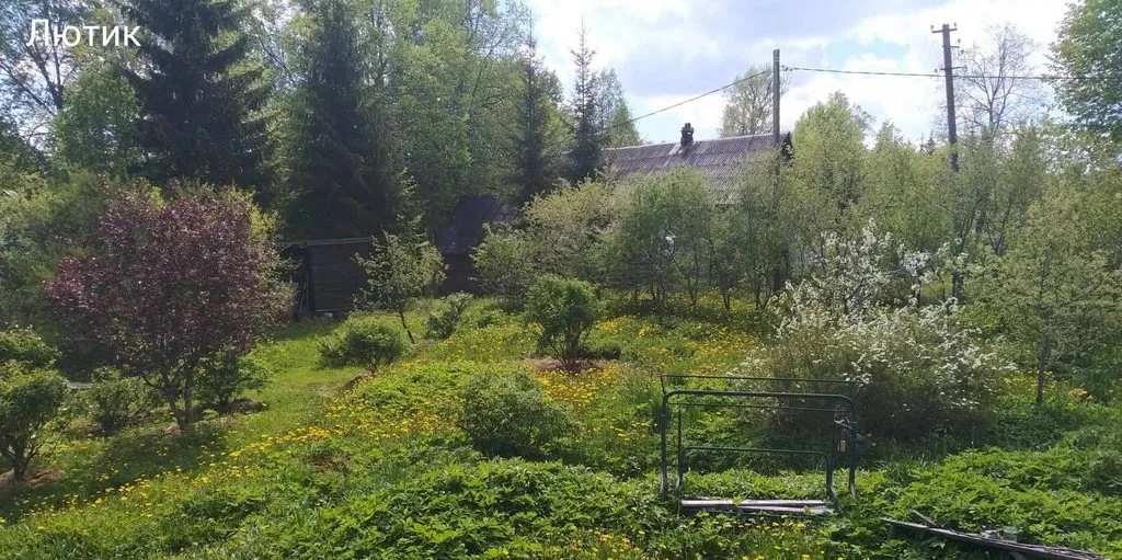 Кафе «У пани Сони»