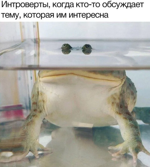 Посмеялся сам - поделись с другом!!!