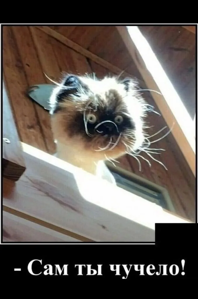 Посмеялся сам - поделись с другом!!!