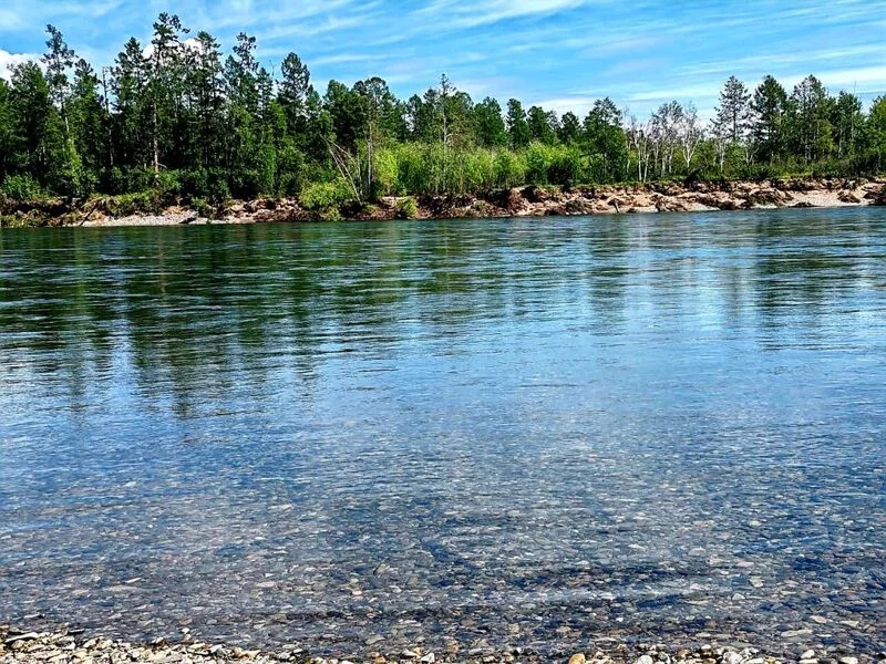 Чайная беседка