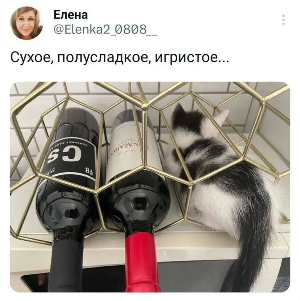 Посмеялся сам - поделись с другом!!!