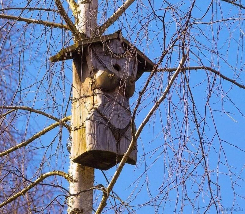 Рассказы для души