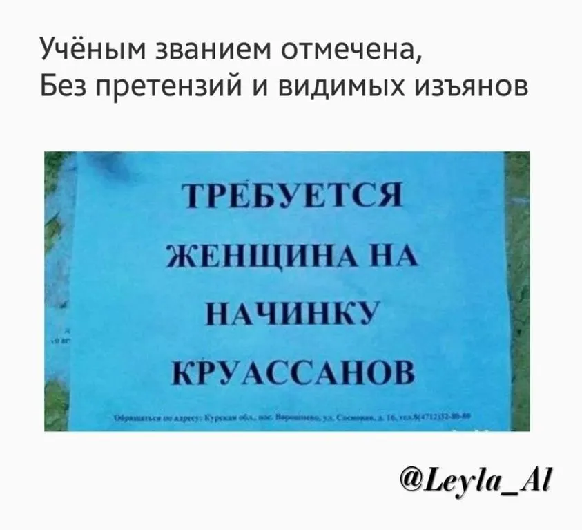Всюду рифмы