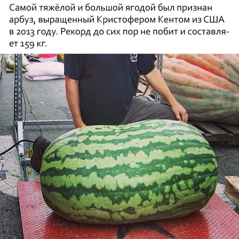 Это интересно!