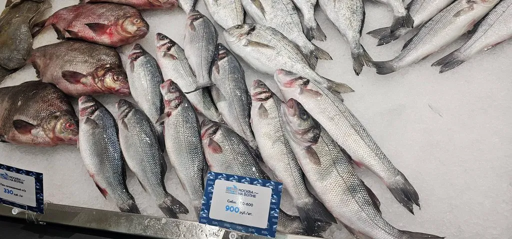 Где, что и когда купить в Москве