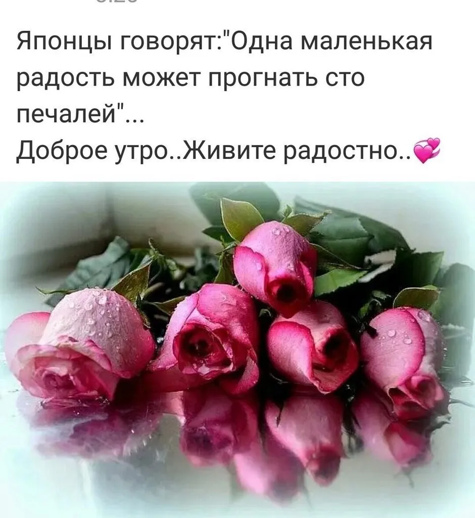 Кафе «У пани Сони»