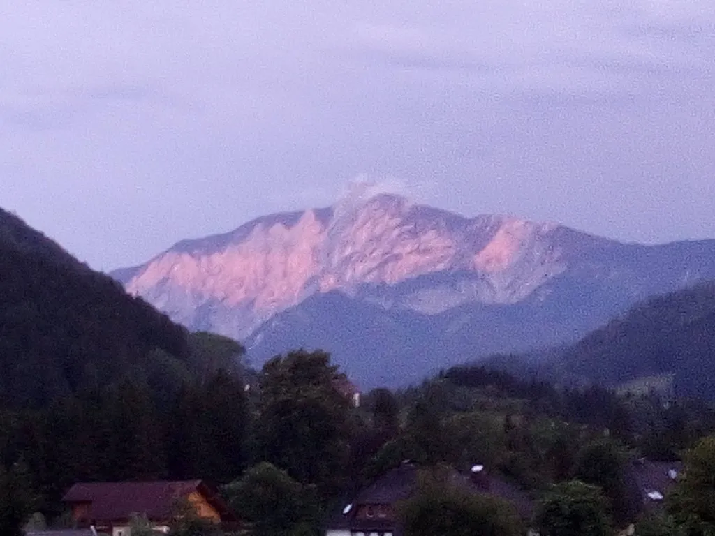 Tapтaлeтки & Ко