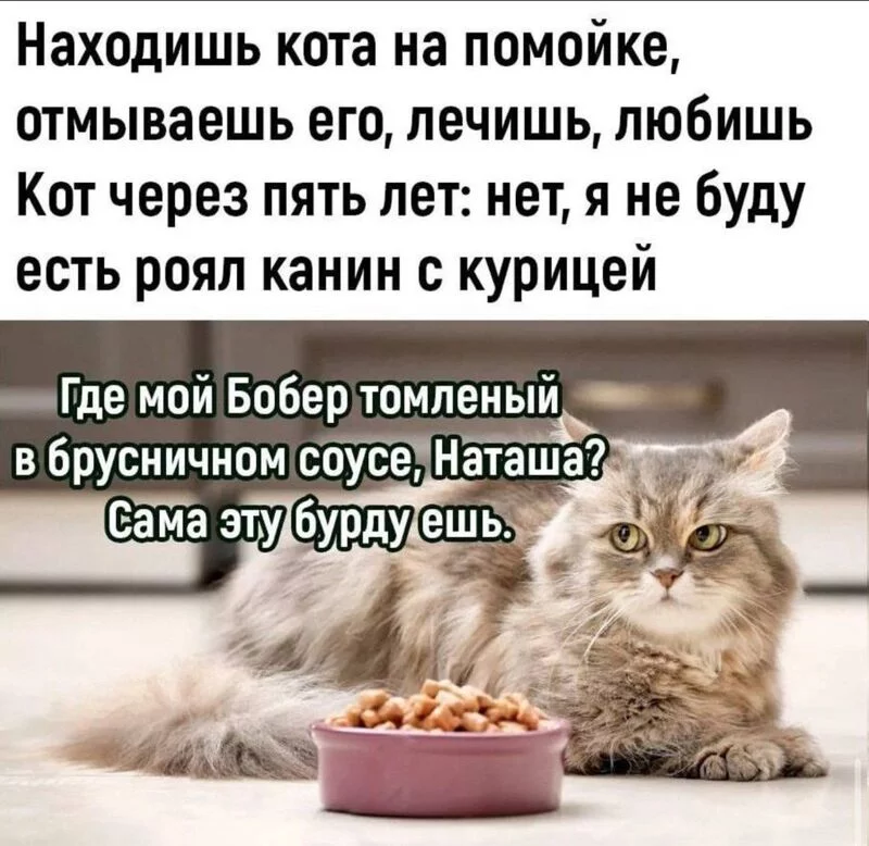 Посмеялся сам - поделись с другом!!!