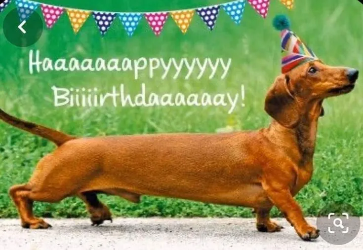 Живой Журнал Жульена