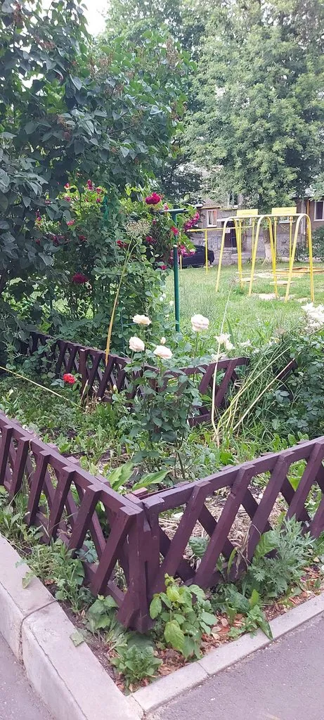 Чайная беседка