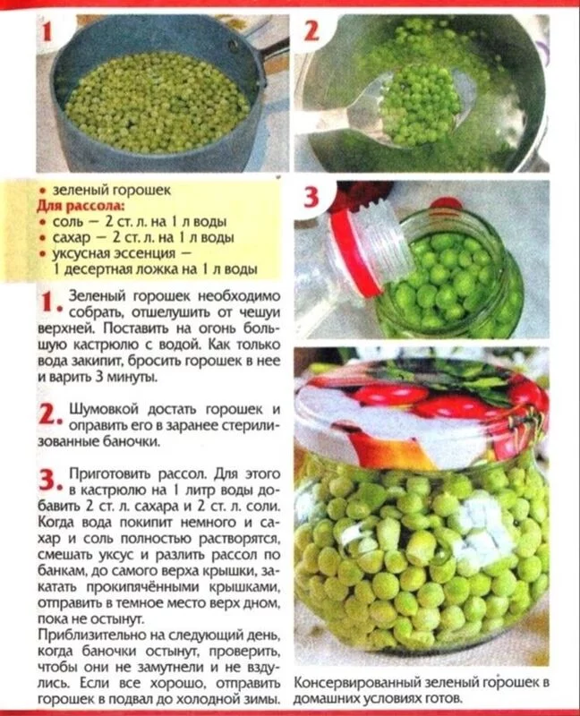 Кулинарная инфографика