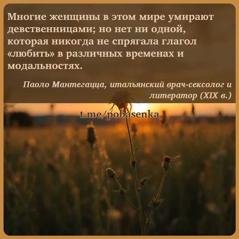 «Многие женщины в этом мире умирают девственницами; но нет ни одной, которая никогда не спрягала глагол любить в различных...» height="550" width="550"