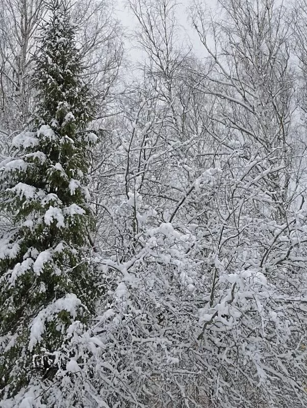 Фотонастроение