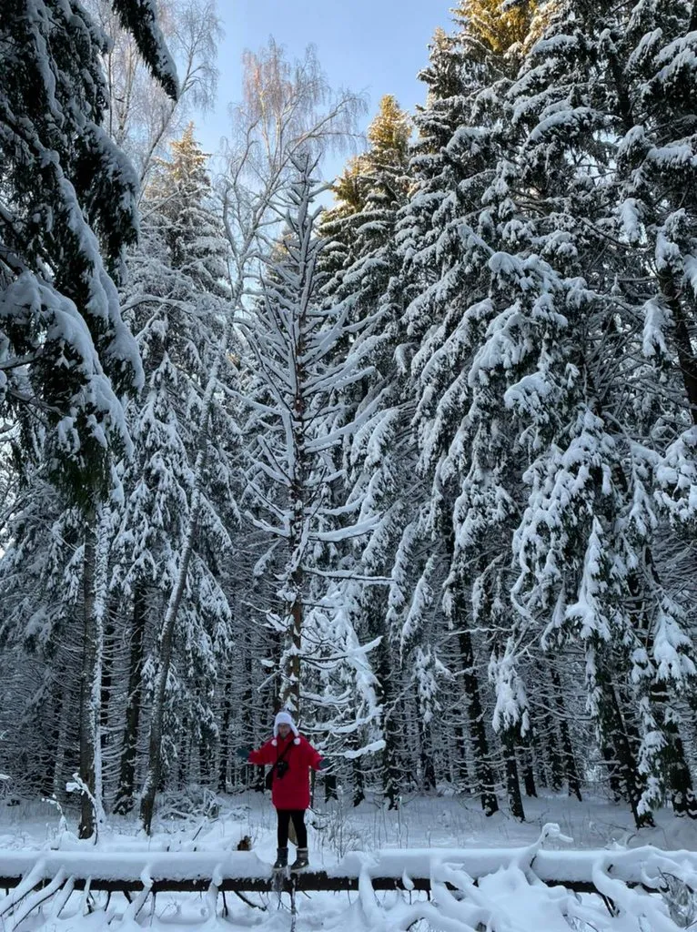 Чайная беседка