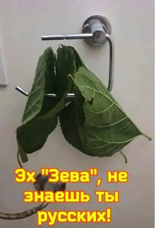 Tapтaлeтки & Ко