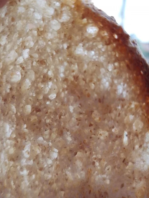 Деревенский пшеничный хлеб (Pane Bigio) в духовке