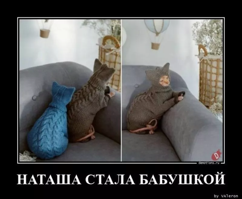 Посмеялся сам - поделись с другом!!!
