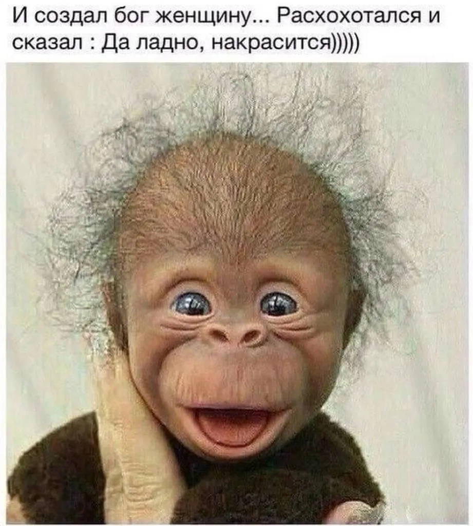 Посмеялся сам - поделись с другом!!!