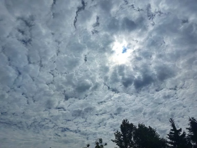 Такое разное небо