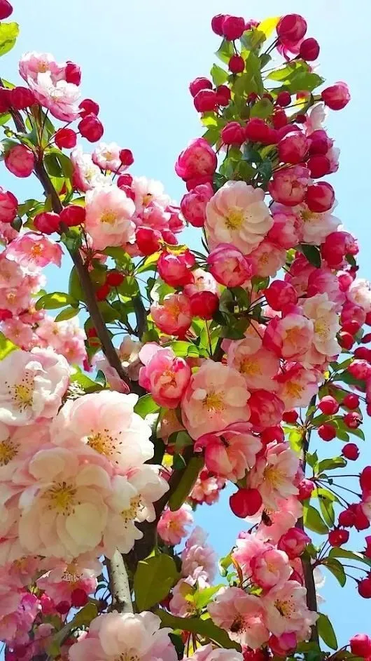 Кафе «У пани Сони»