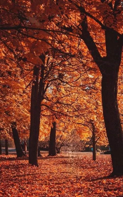 Коломенское