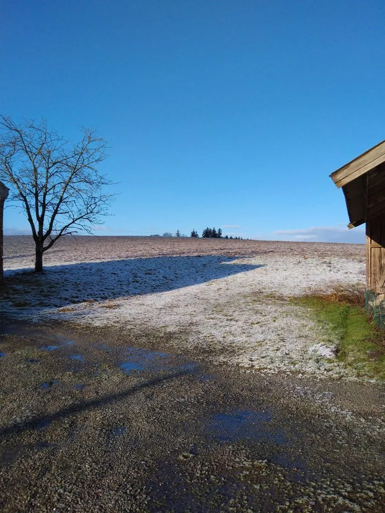 Чайная беседка