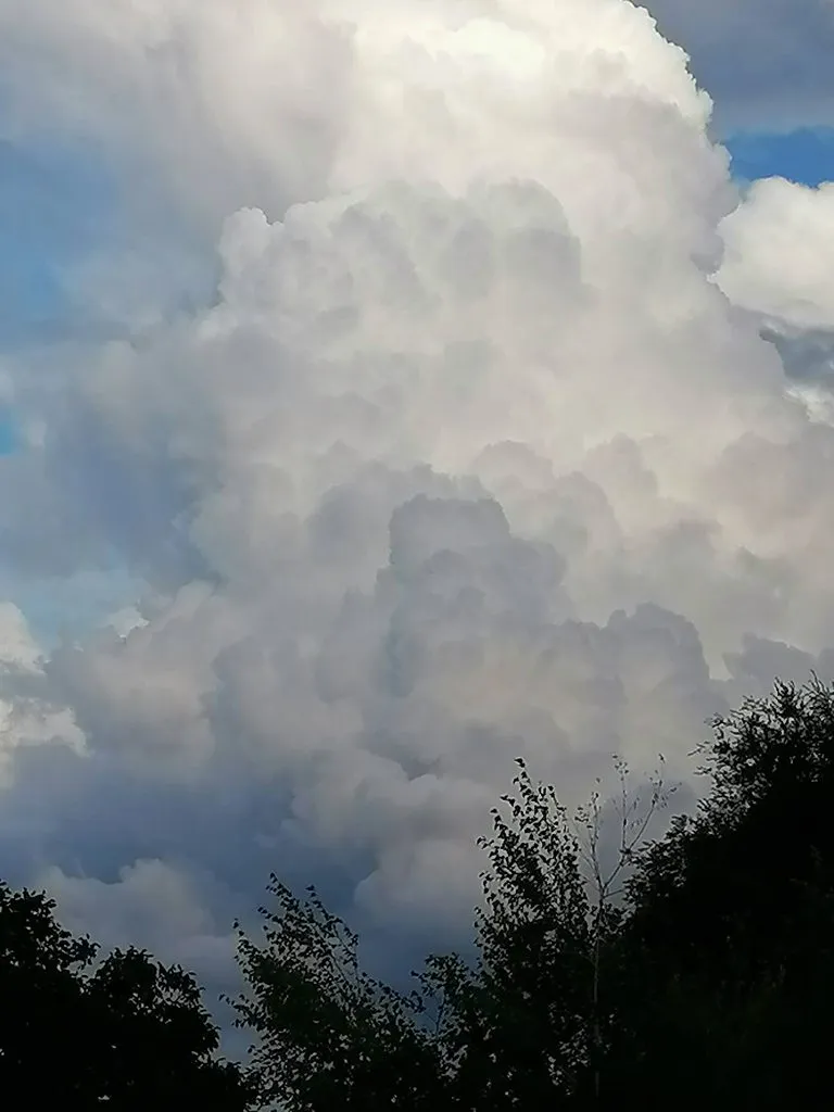 Такое разное небо