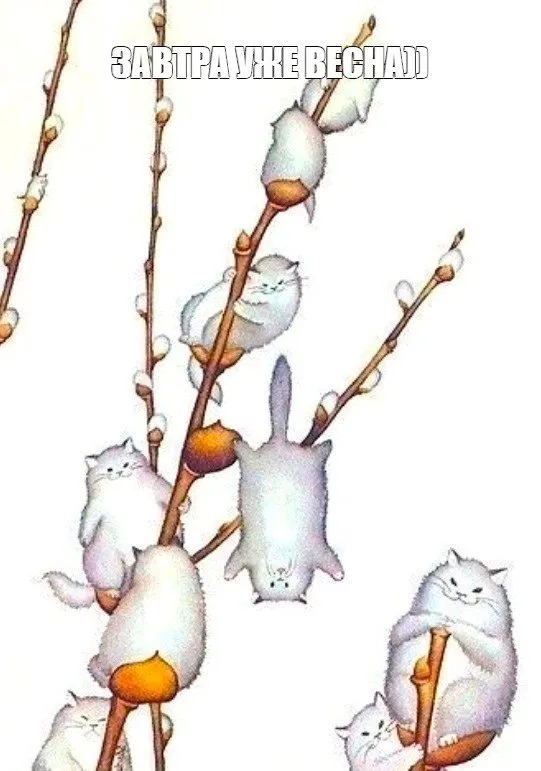 Кафе «У пани Сони»