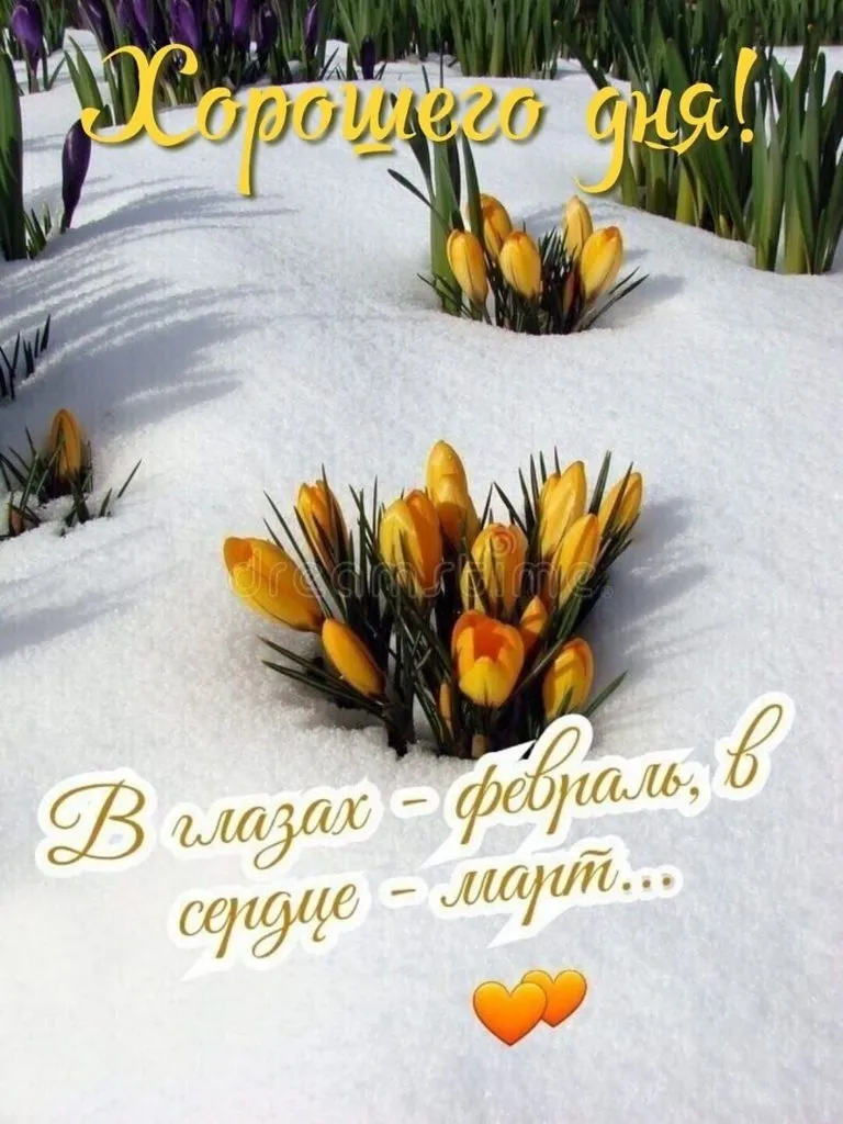 Tapтaлeтки & Ко