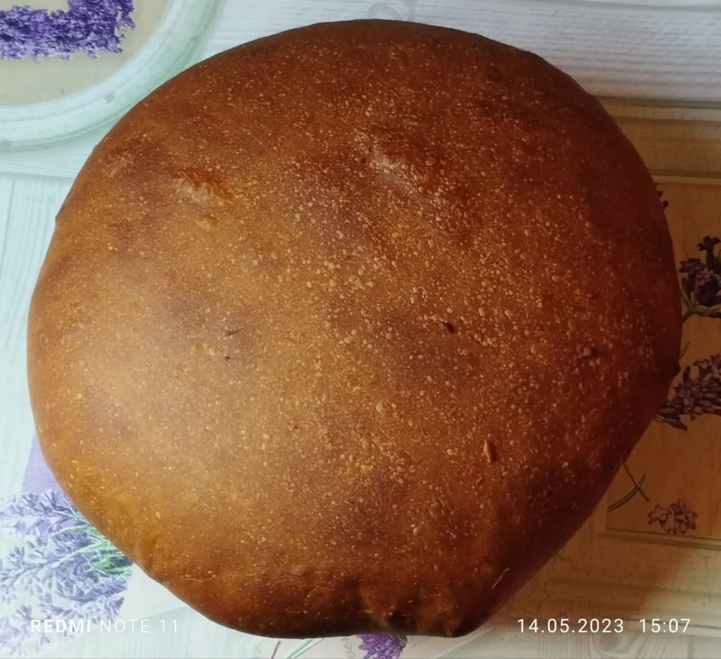 Tapтaлeтки & Ко