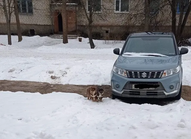 Человек собаке друг!!!
