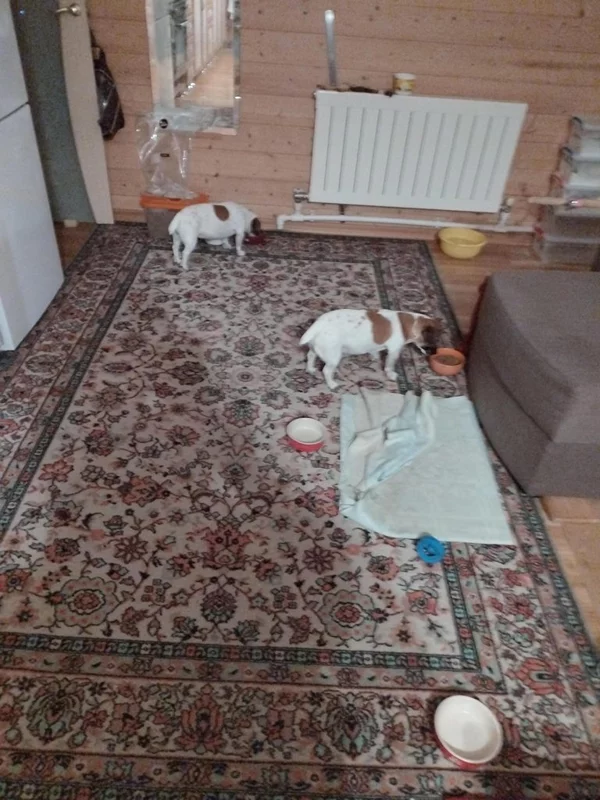 Чайная беседка