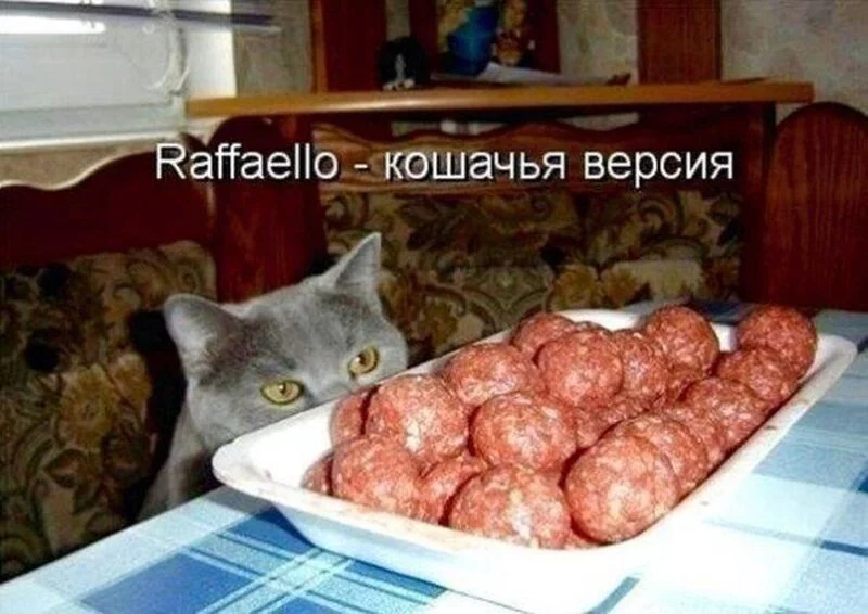 Посмеялся сам - поделись с другом!!!